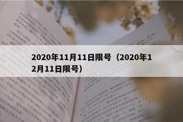 2020年11月11日限号（2020年12月11日限号） 第1张
