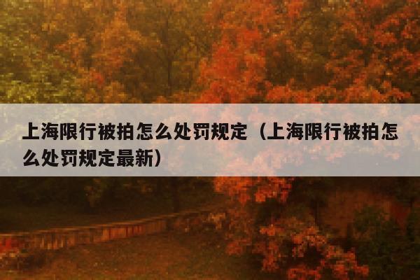 上海限行被拍怎么处罚规定（上海限行被拍怎么处罚规定最新） 第1张