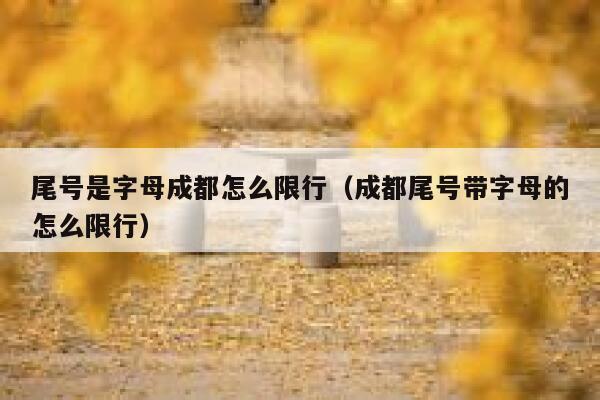 尾号是字母成都怎么限行（成都尾号带字母的怎么限行） 第1张