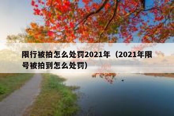 限行被拍怎么处罚2021年（2021年限号被拍到怎么处罚） 第1张
