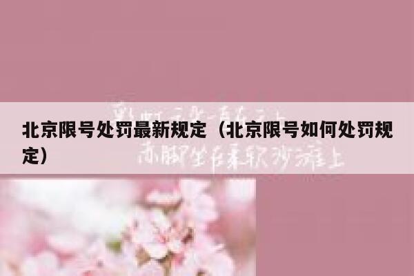 北京限号处罚最新规定（北京限号如何处罚规定） 第1张