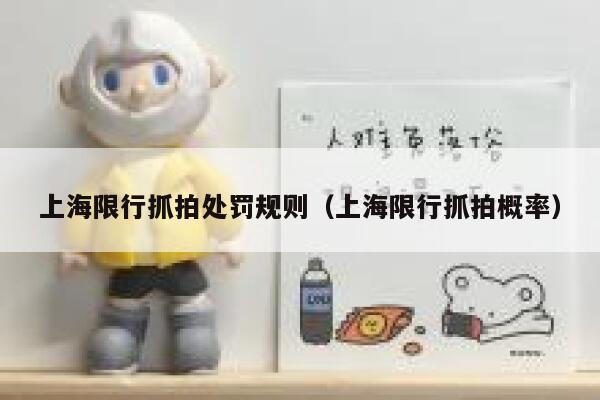 上海限行抓拍处罚规则（上海限行抓拍概率） 第1张