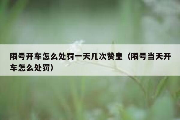 限号开车怎么处罚一天几次赞皇（限号当天开车怎么处罚） 第1张