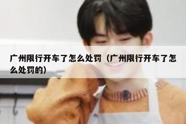 广州限行开车了怎么处罚（广州限行开车了怎么处罚的） 第1张
