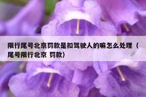 限行尾号北京罚款是扣驾驶人的嘛怎么处理（尾号限行北京 罚款） 第1张