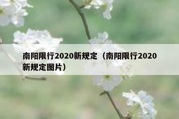 南阳限行2020新规定（南阳限行2020新规定图片） 第1张