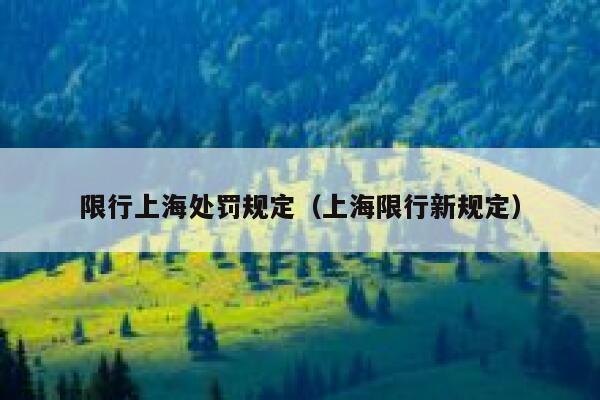 限行上海处罚规定（上海限行新规定） 第1张