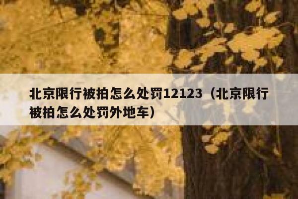 北京限行被拍怎么处罚12123(北京限行被拍怎么处罚外地车) 第1张 北京限行被拍怎么处罚12123(北京限行被拍怎么处罚外地车) 第1张