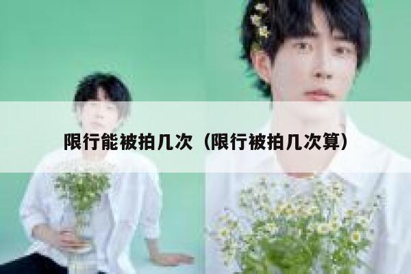 限行能被拍几次（限行被拍几次算） 第1张