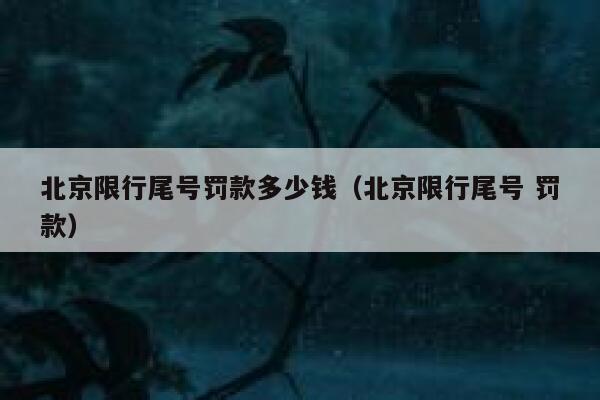 北京限行尾号罚款多少钱（北京限行尾号 罚款） 第1张