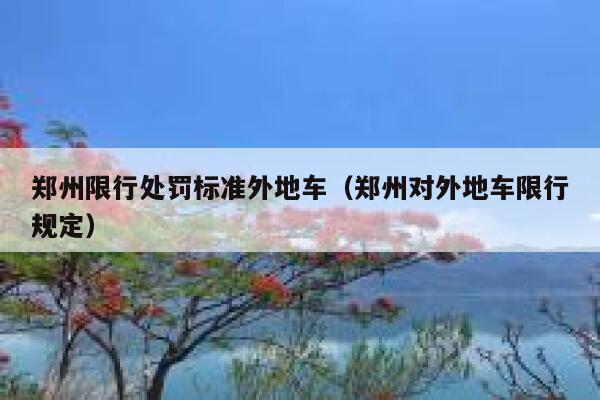 郑州限行处罚标准外地车（郑州对外地车限行规定） 第1张