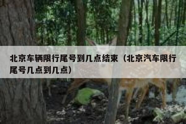 北京车辆限行尾号到几点结束（北京汽车限行尾号几点到几点） 第1张