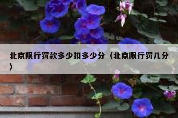 北京限行罚款多少扣多少分（北京限行罚几分） 第1张