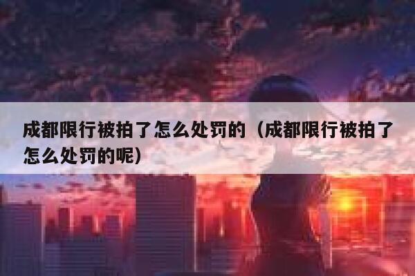 成都限行被拍了怎么处罚的（成都限行被拍了怎么处罚的呢） 第1张