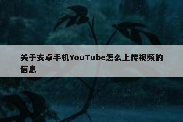 关于安卓手机YouTube怎么上传视频的信息 第1张