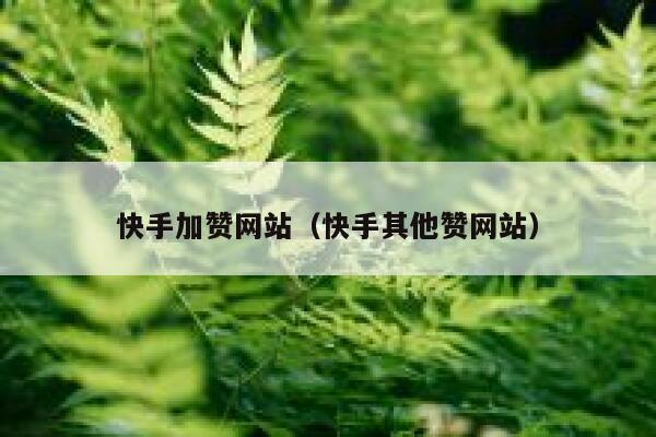 快手加赞网站（快手其他赞网站） 第1张