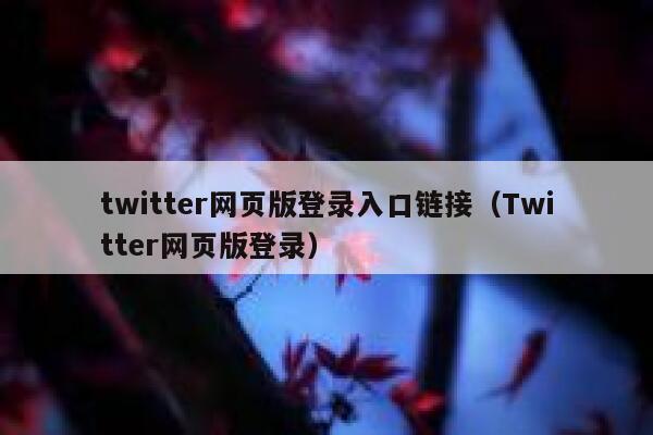 twitter网页版登录入口链接（Twitter网页版登录） 第1张