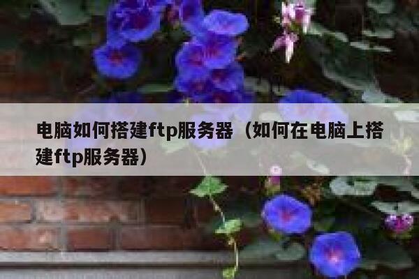 电脑如何搭建ftp服务器（如何在电脑上搭建ftp服务器） 第1张