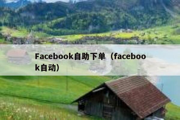 Facebook自助下单（facebook自动） 第1张