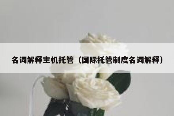 名词解释主机托管（国际托管制度名词解释） 第1张