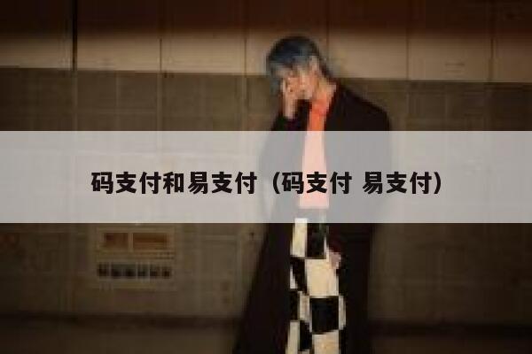 码支付和易支付（码支付 易支付） 第1张