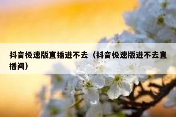 抖音极速版直播进不去（抖音极速版进不去直播间） 第1张