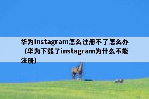 华为instagram怎么注册不了怎么办（华为下载了instagram为什么不能注册） 第1张