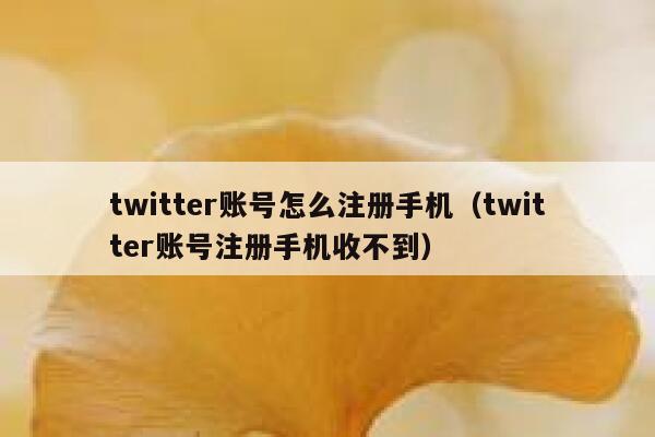 twitter账号怎么注册手机（twitter账号注册手机收不到） 第1张