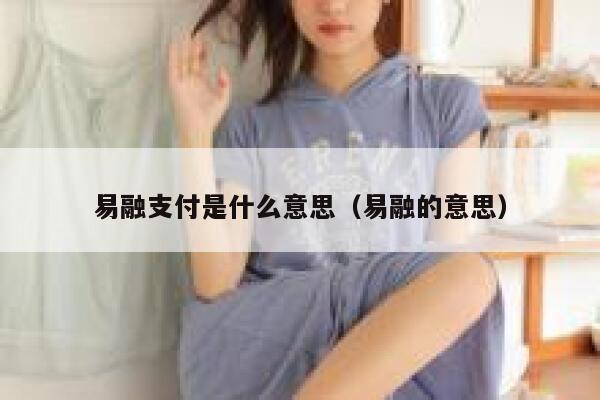 易融支付是什么意思（易融的意思） 第1张