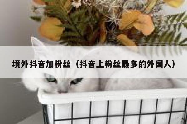 境外抖音加粉丝（抖音上粉丝最多的外国人） 第1张