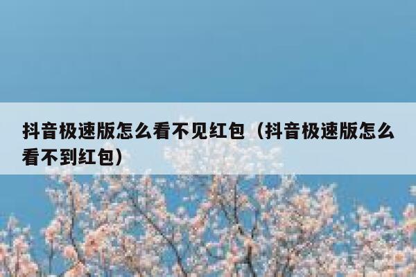 抖音极速版怎么看不见红包（抖音极速版怎么看不到红包） 第1张