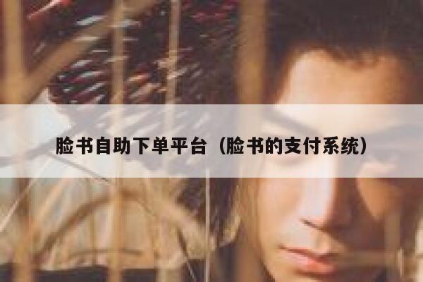 脸书自助下单平台（脸书的支付系统） 第1张