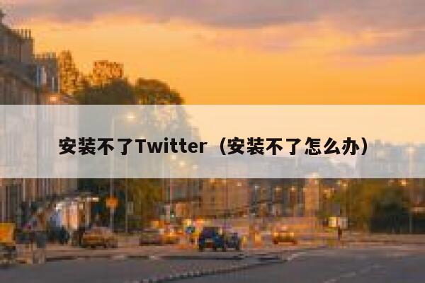 安装不了Twitter（安装不了怎么办） 第1张
