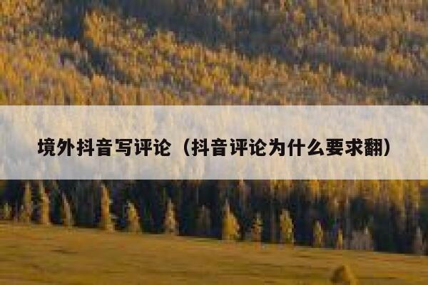 境外抖音写评论（抖音评论为什么要求翻） 第1张