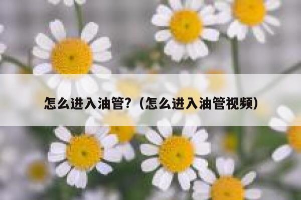 怎么进入油管?（怎么进入油管视频） 第1张