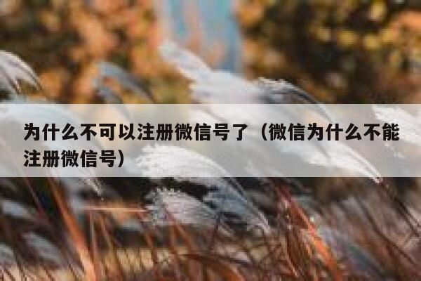 为什么不可以注册微信号了（微信为什么不能注册微信号） 第1张