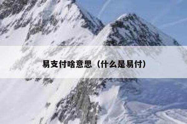 易支付啥意思(什么是易付) 第1张 易支付啥意思(什么是易付) 第1张