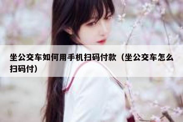 坐公交车如何用手机扫码付款（坐公交车怎么扫码付） 第1张