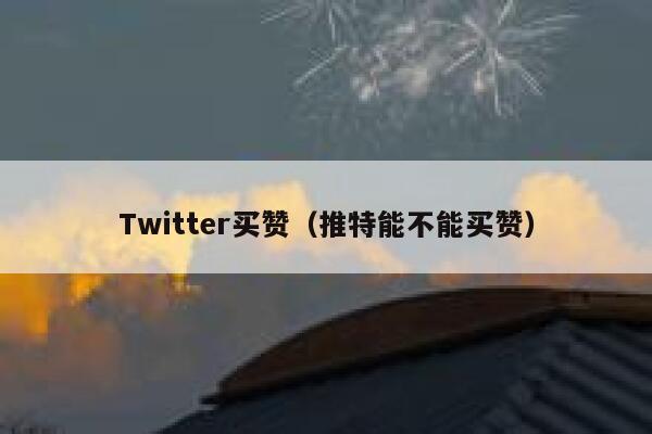 Twitter买赞（推特能不能买赞） 第1张