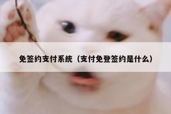 免签约支付系统（支付免登签约是什么） 第1张