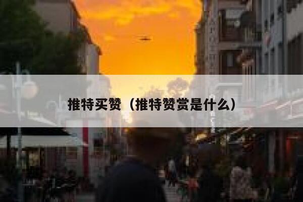 推特买赞（推特赞赏是什么） 第1张