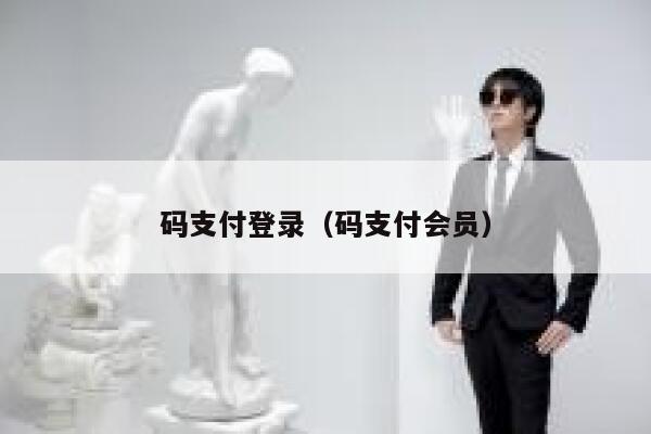码支付登录（码支付会员） 第1张
