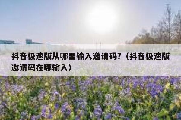 抖音极速版从哪里输入邀请码?（抖音极速版邀请码在哪输入） 第1张