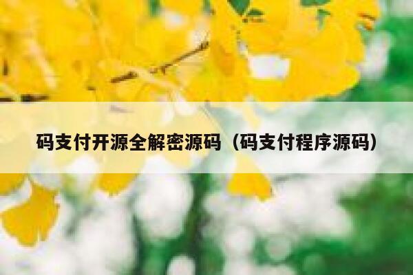 码支付开源全解密源码（码支付程序源码） 第1张