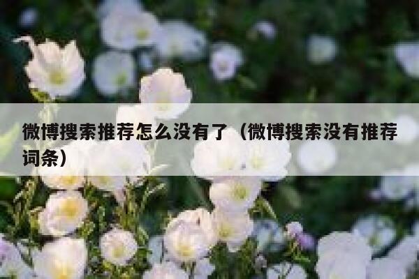 微博搜索推荐怎么没有了（微博搜索没有推荐词条） 第1张