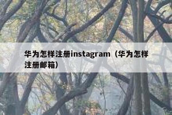 华为怎样注册instagram（华为怎样注册邮箱） 第1张