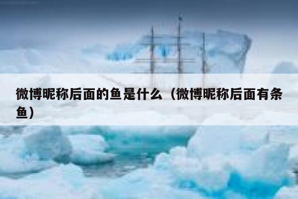 微博昵称后面的鱼是什么（微博昵称后面有条鱼） 第1张