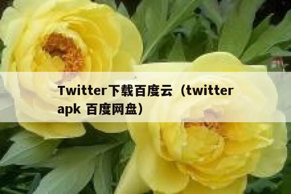 Twitter下载百度云(twitterapk 百度网盘) 第1张 Twitter下载百度云(twitterapk 百度网盘) 第1张