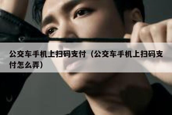 公交车手机上扫码支付（公交车手机上扫码支付怎么弄） 第1张