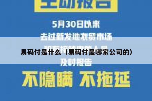 易码付是什么（易码付是哪家公司的） 第1张